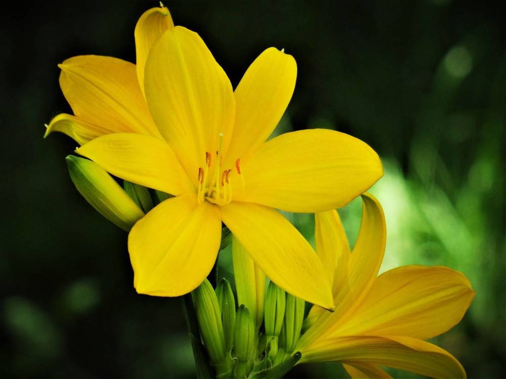 Photograph by Марина Раткун