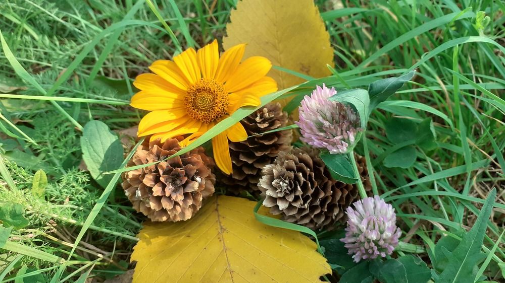 Photograph by Елена Лещева