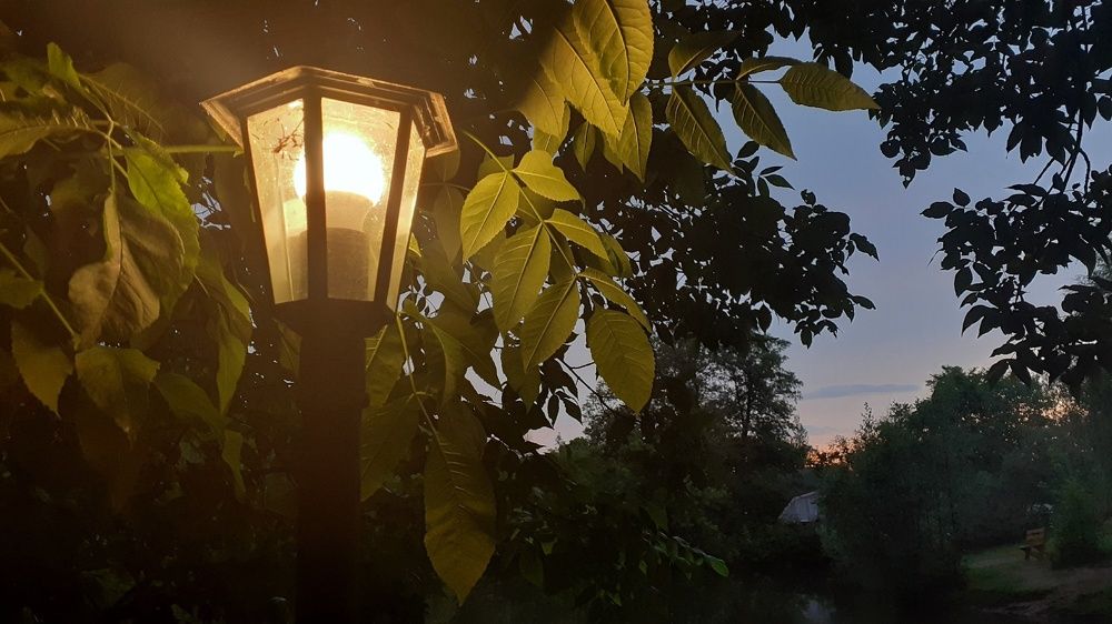 Photograph by Елена Лещева