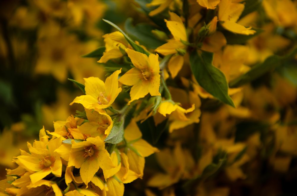 Фотография автора Войнов Дмитрий