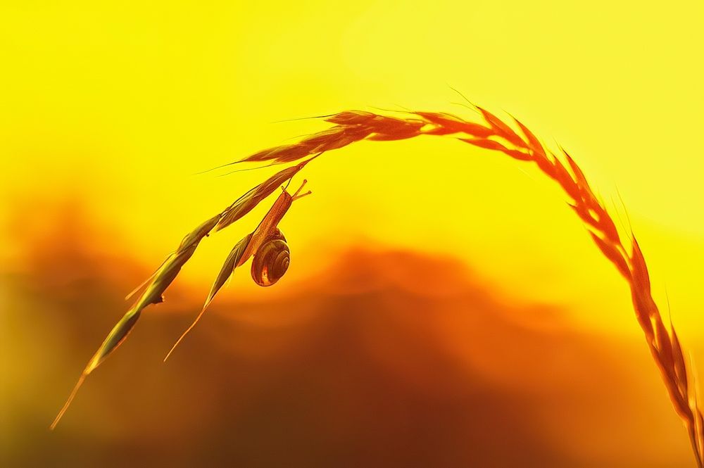 Photograph by Владимир