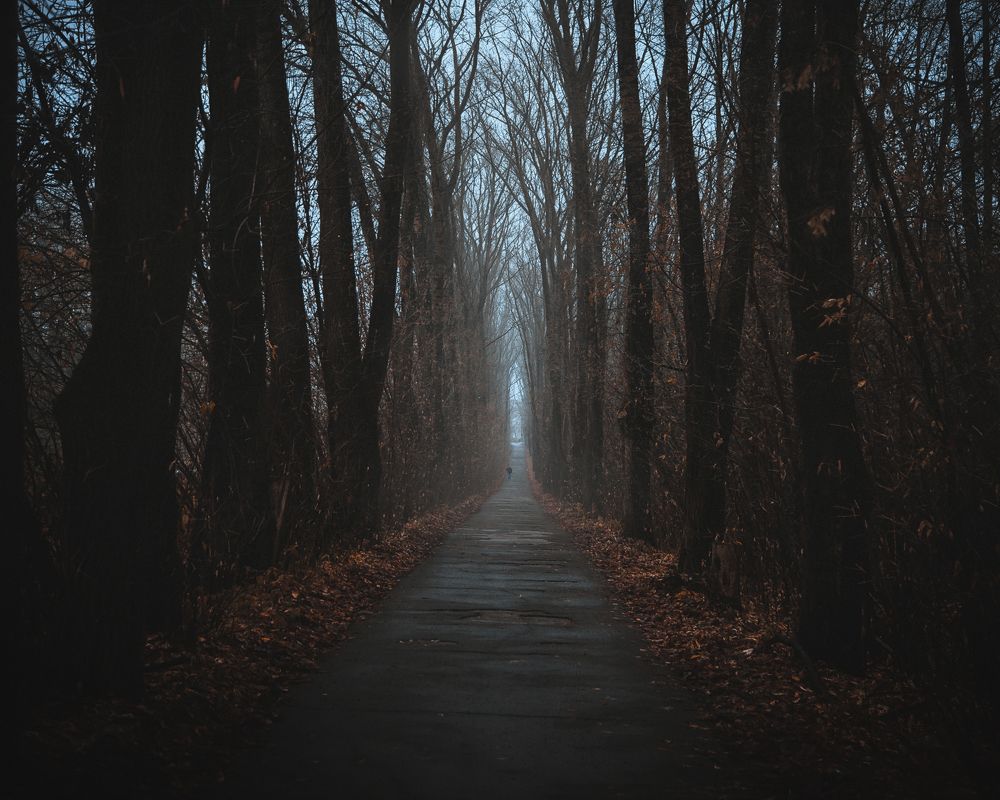 Фотография автора Наталья Ветошкина