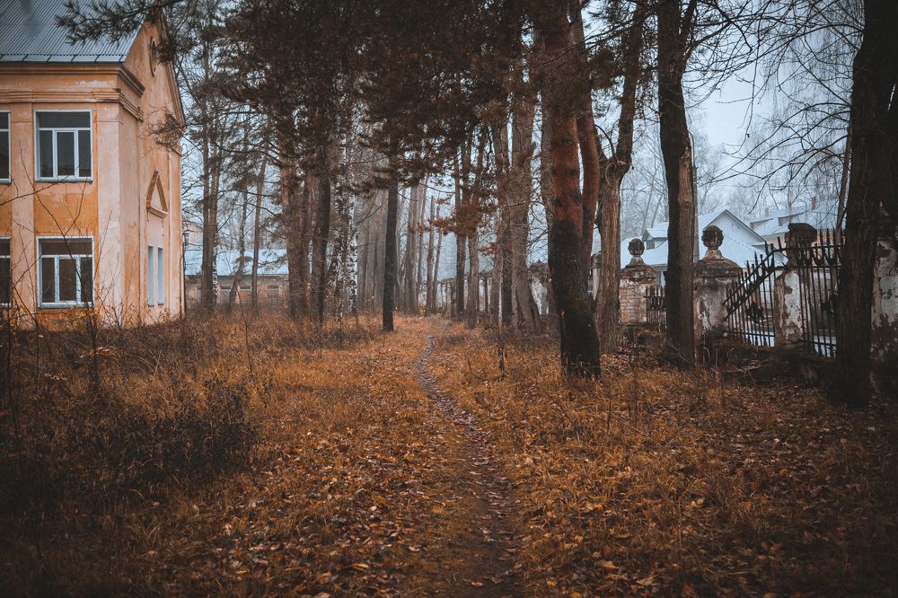 Фотография автора Наталья Ветошкина