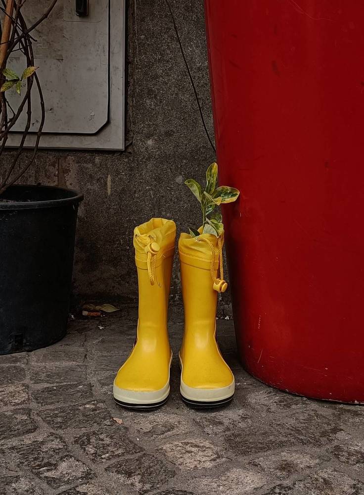 Photograph by Iryna Shyshkina