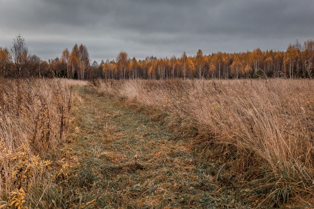 Фотография автора Наталья Ветошкина