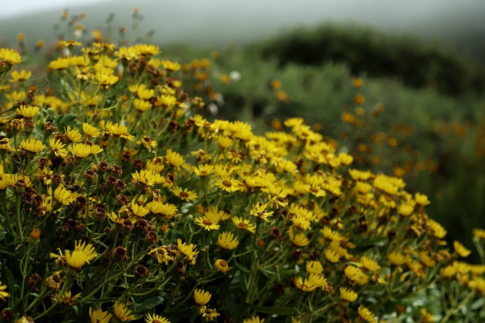 Photograph by Лада Денисова