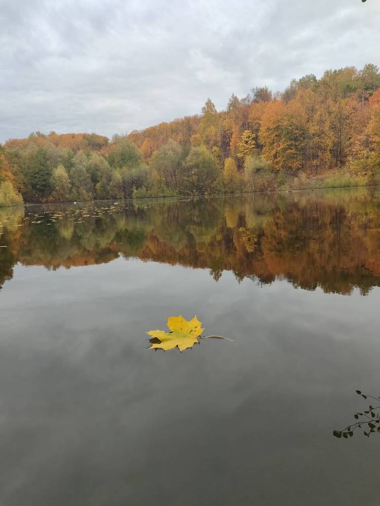 Photograph by Алексей Ларин