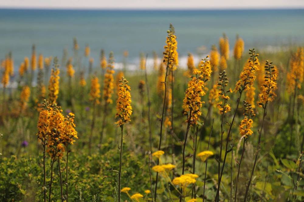 Photograph by Лада Денисова