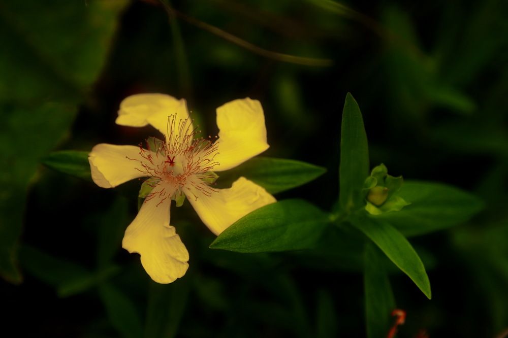 Photograph by Лада Денисова