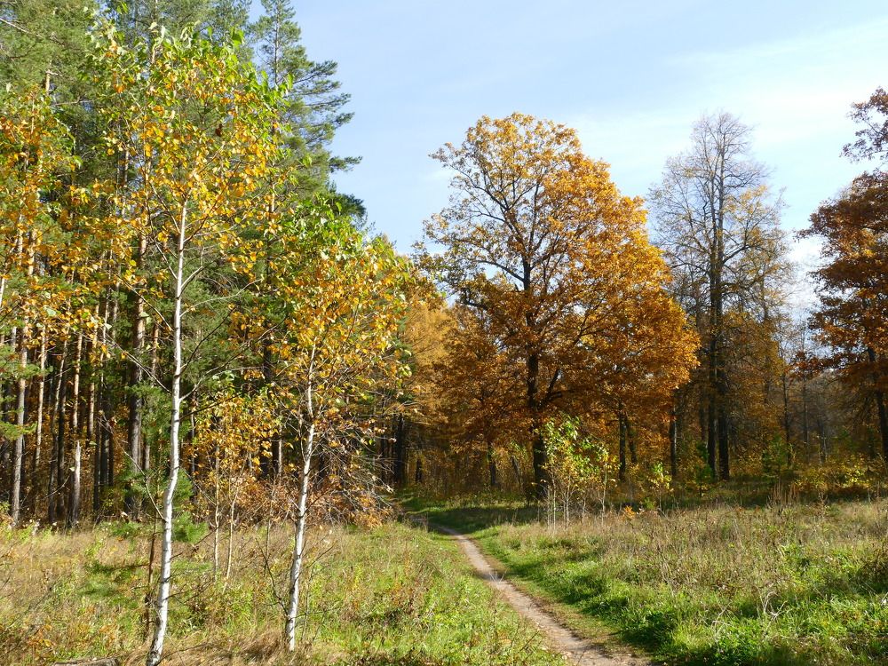 Photograph by Александр Кизим