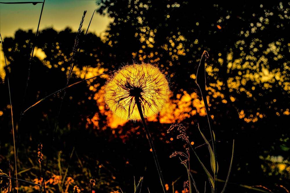 Photograph by Сиваков Алексей