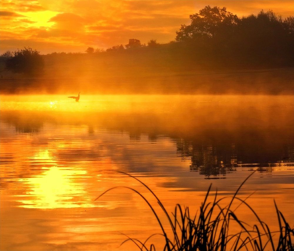 Photograph by Владимир