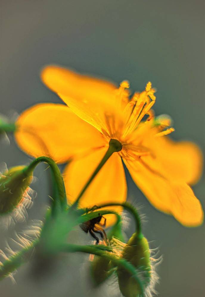 Photograph by Сиваков Алексей