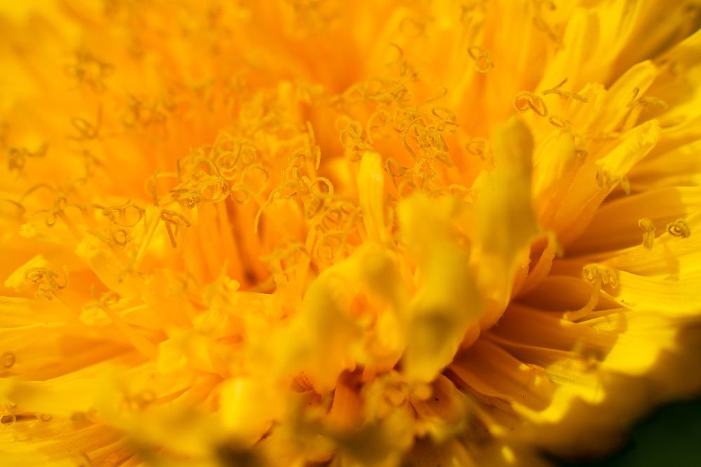 Фотография автора Войнов Дмитрий