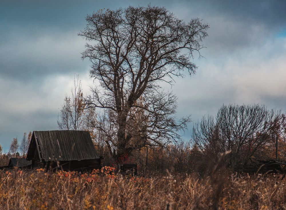 Фотография автора Наталья Ветошкина