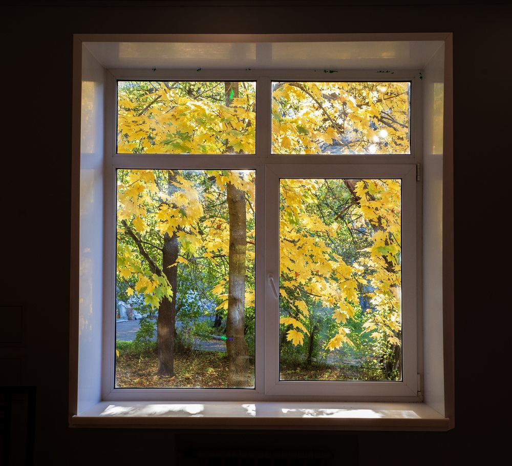 Photograph by Эдуард Шадров