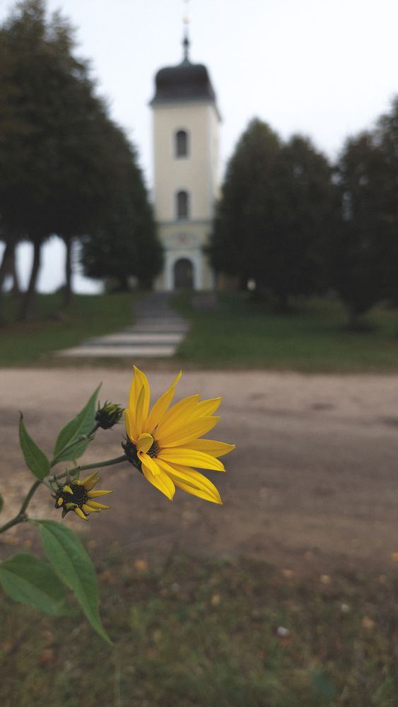 Photograph by Наталия