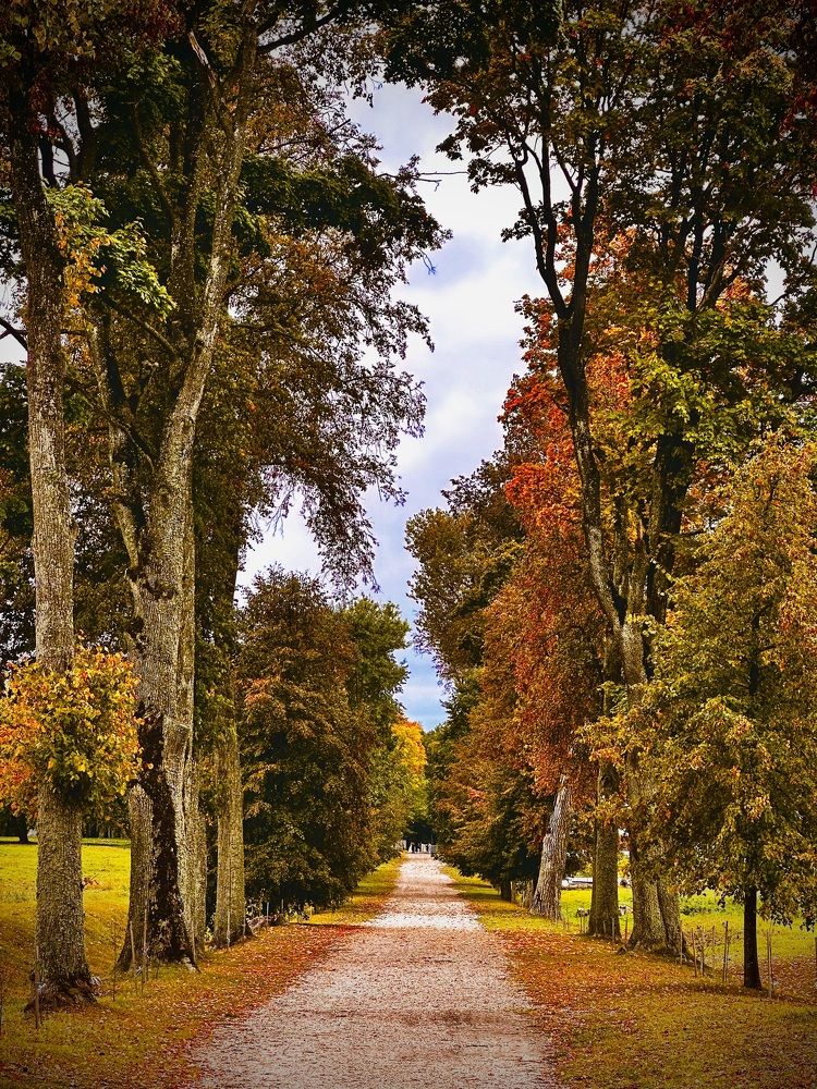 Photograph by Наумова Татьяна