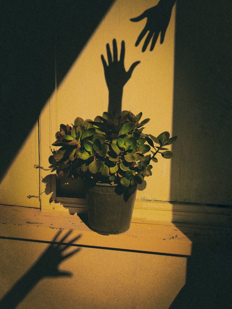 Фотография автора Samaneh 사마내