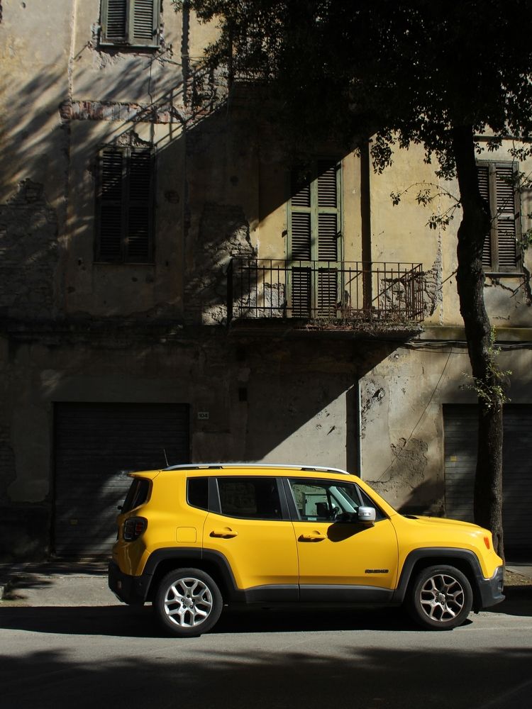 Photograph by Iryna Shyshkina