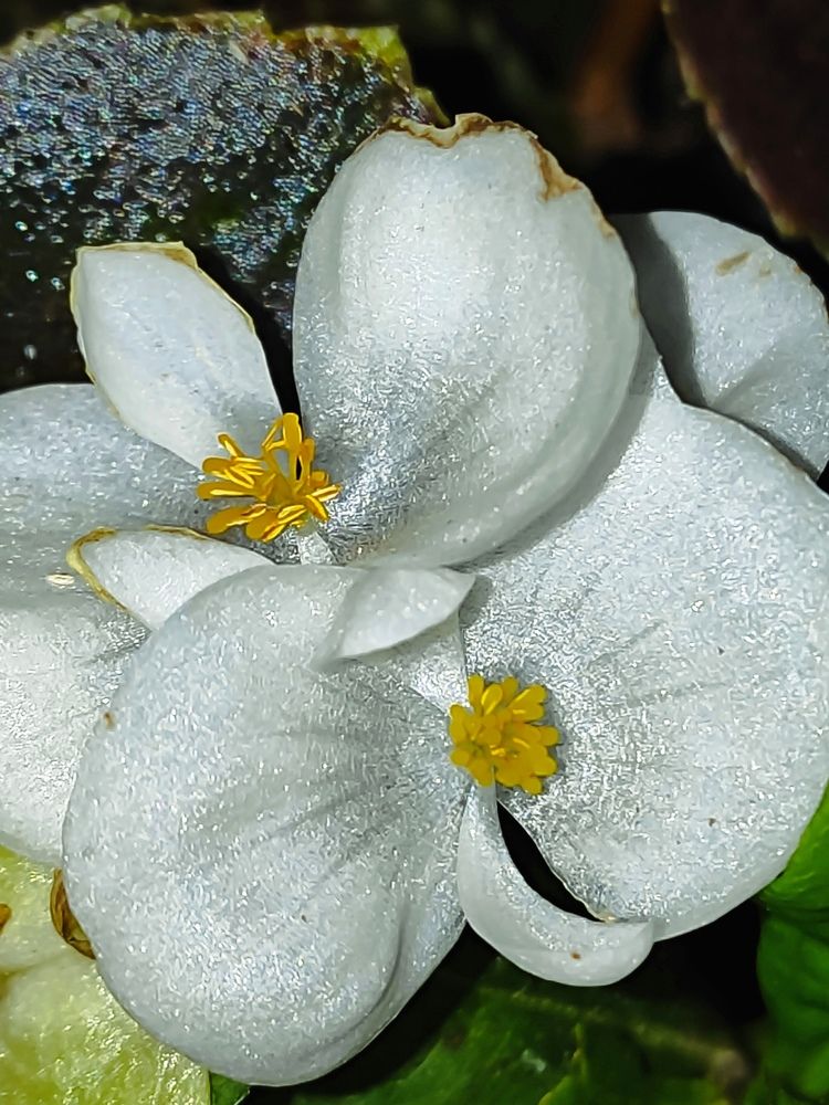 Photograph by Екатерина Борисовна Кузьмина