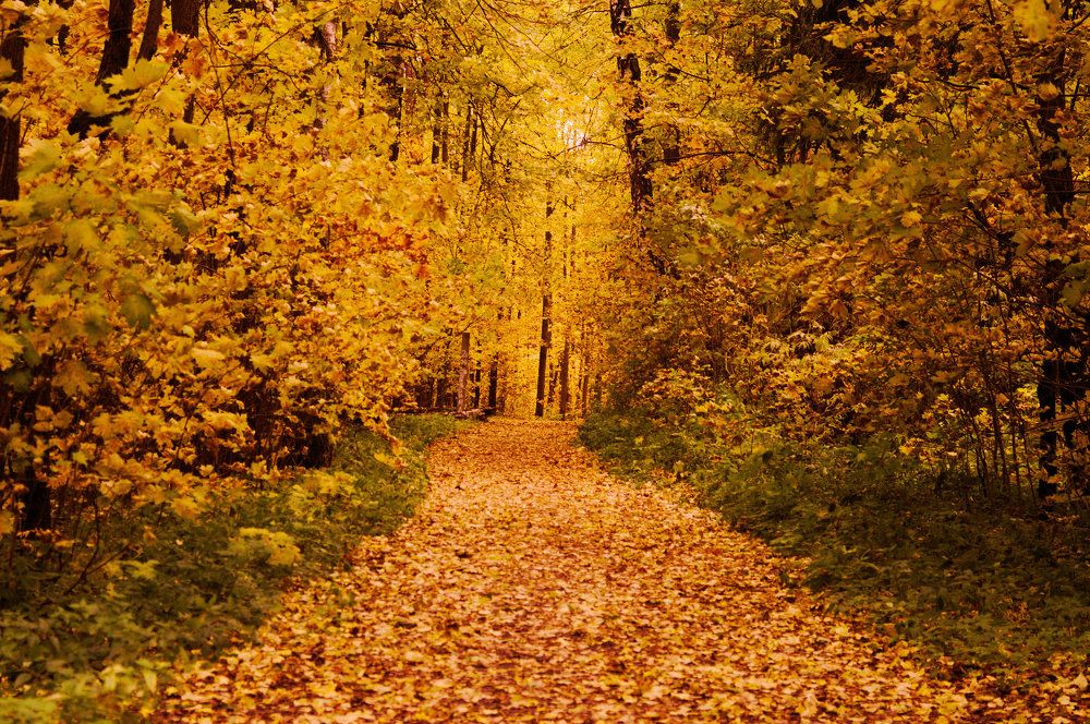 Photograph by Сергей Владимирович Егоров