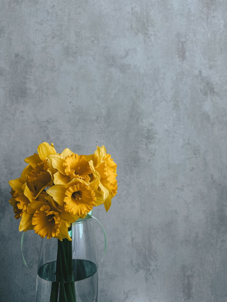 Photograph by Екатерина Нальгиева