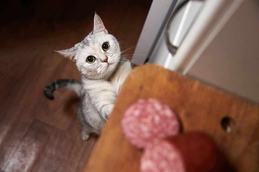 Photograph by Александр Бахаровский