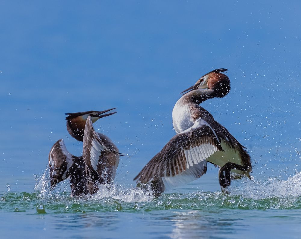 Фотография автора Оксана Дорн