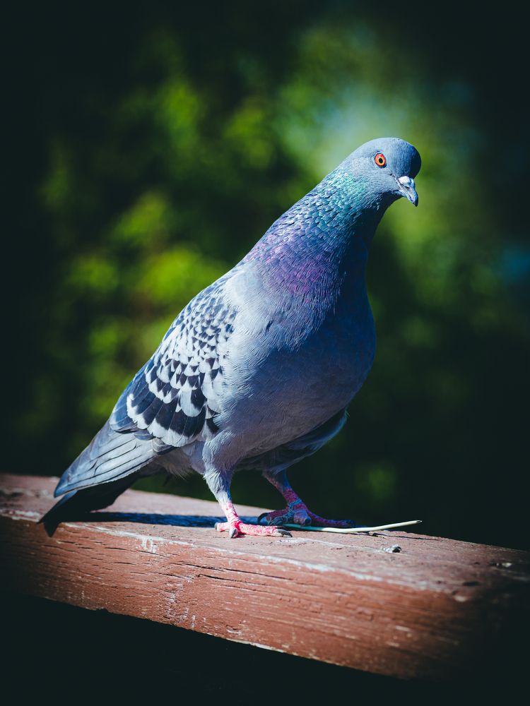 Photograph by Александр Данилов