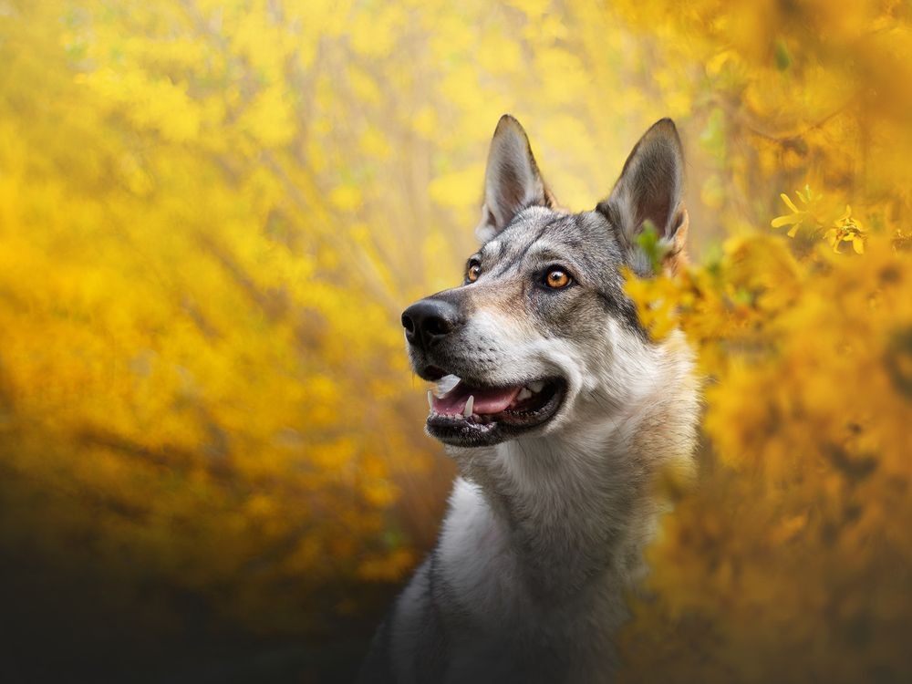 Photograph by Dorota Hnatová