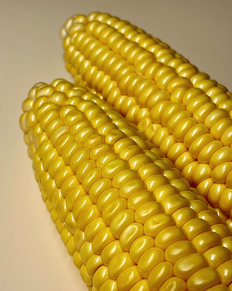 Photograph by Светлана Богомолова