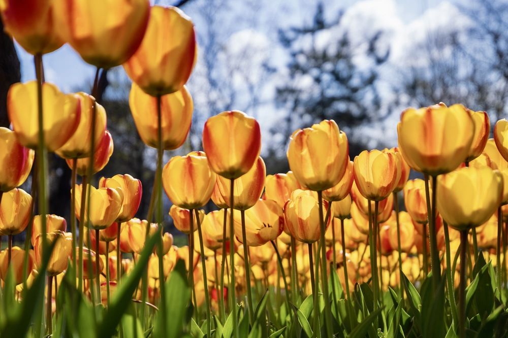 Photograph by Orhan Olmez