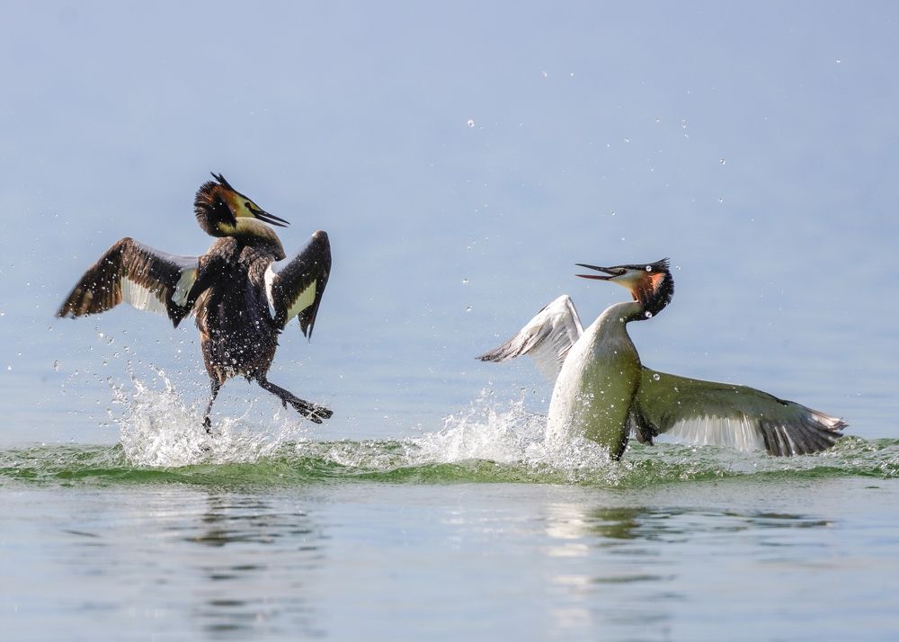 Фотография автора Оксана Дорн