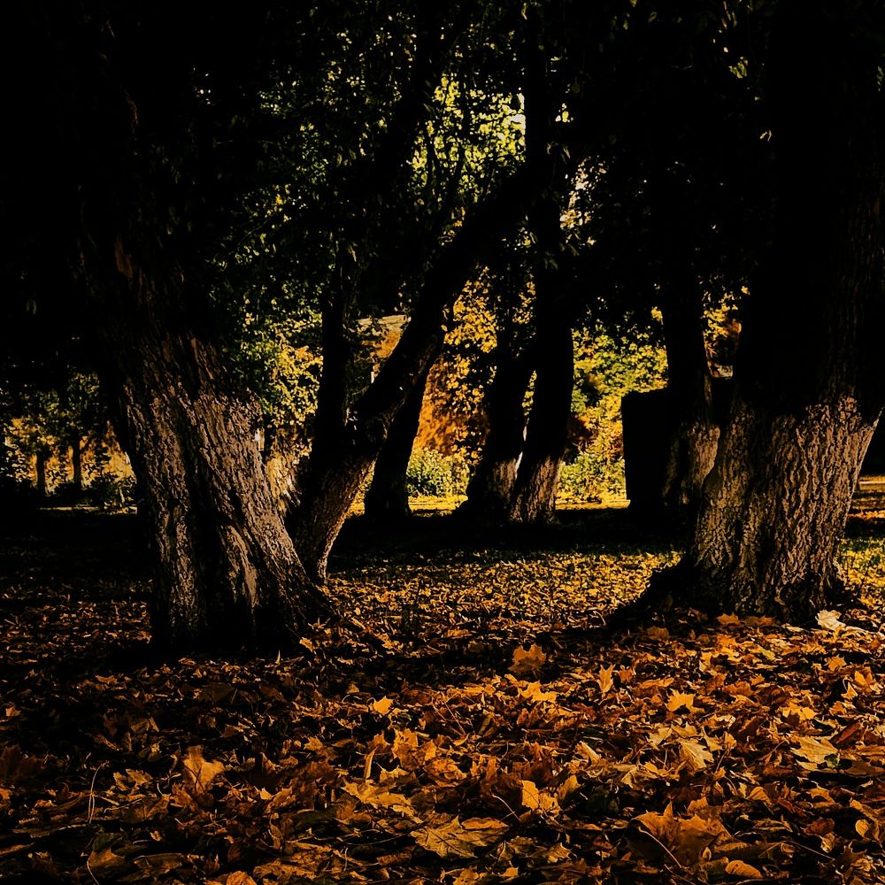 Осенний вечер