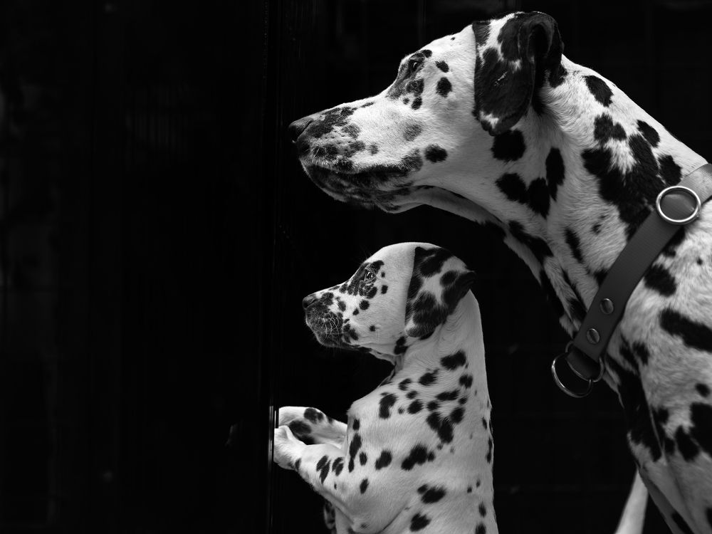 Photograph by Dorota Hnatová