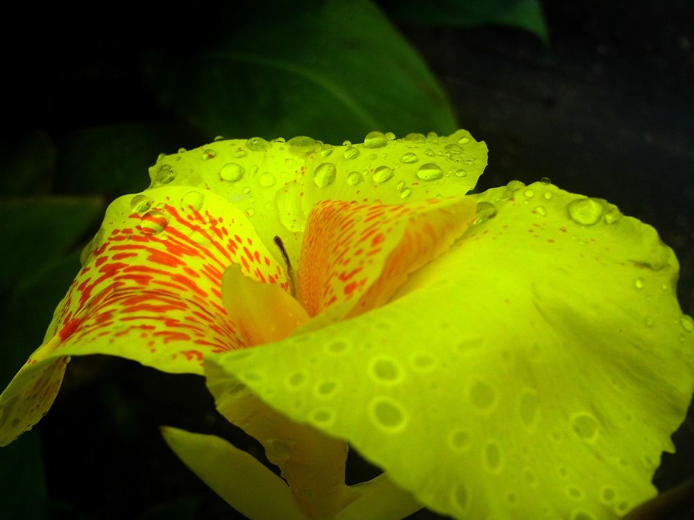 Photograph by GLEYDA GUTIÉREZ