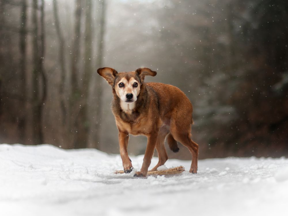 Photograph by Dorota Hnatová