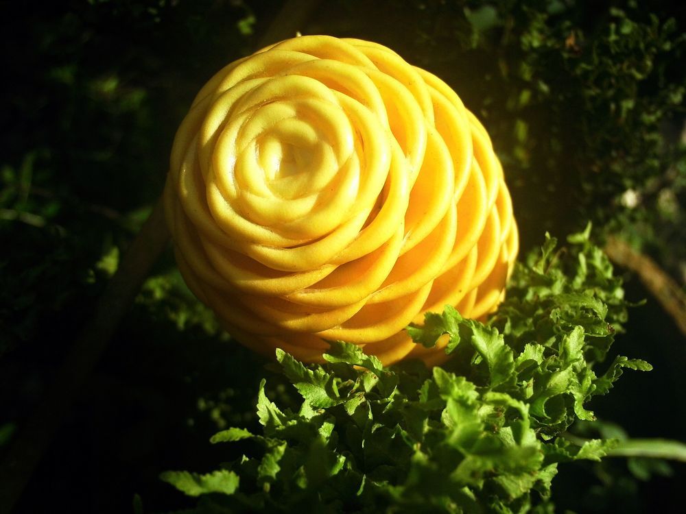 Photograph by GLEYDA GUTIÉREZ