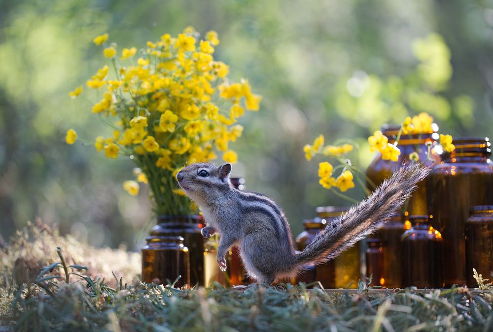 Photograph by Евгения Левина