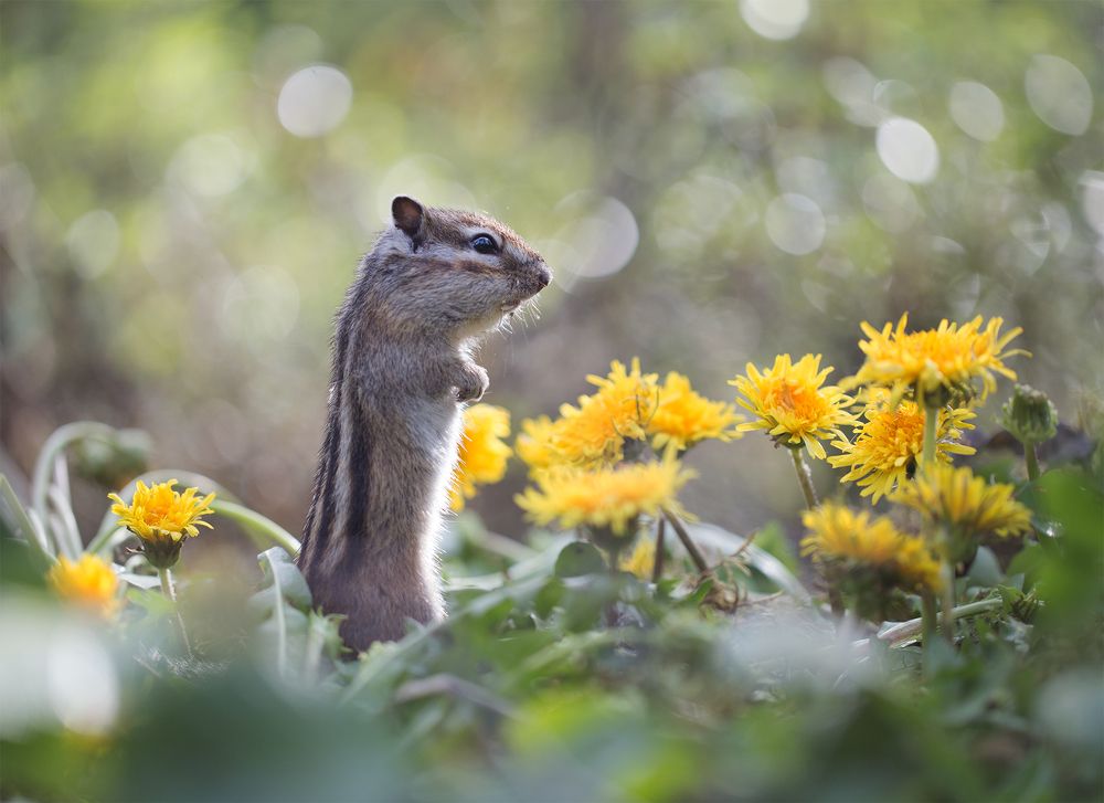 Photograph by Евгения Левина