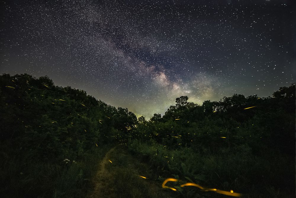 Photograph by Филипп Бабенко