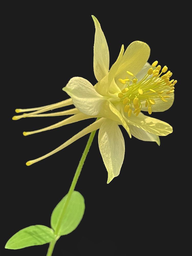 Photograph by Silvia Marcos