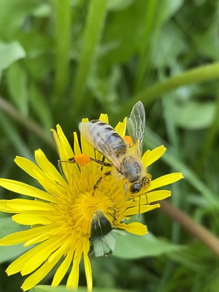 Photograph by Nebojsa Kavaric