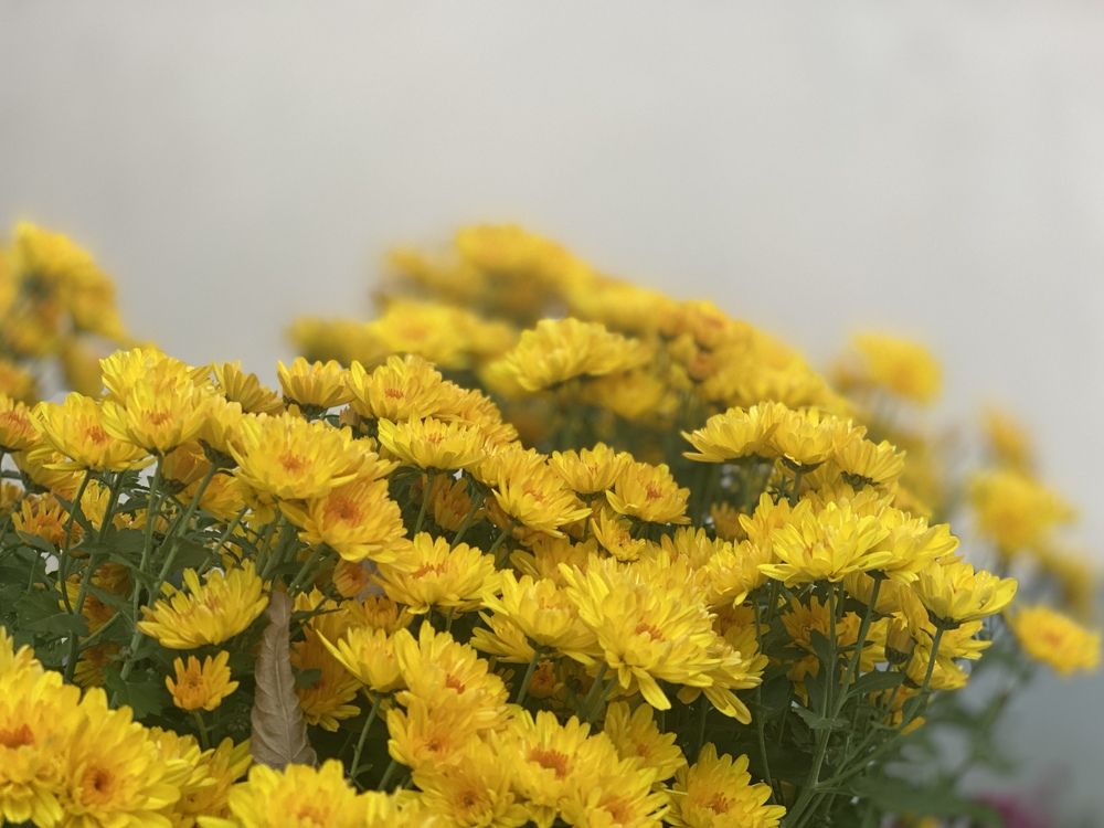 Photograph by Nebojsa Kavaric