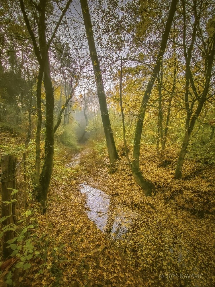 Photograph by Nebojsa Kavaric