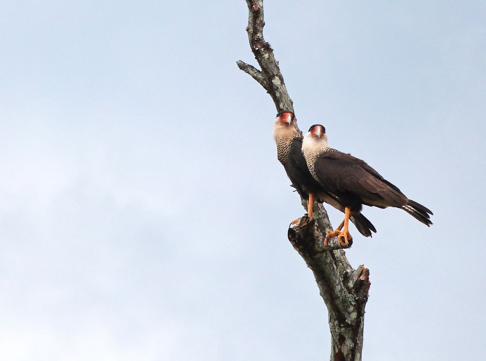 Photograph by GLEYDA GUTIÉREZ