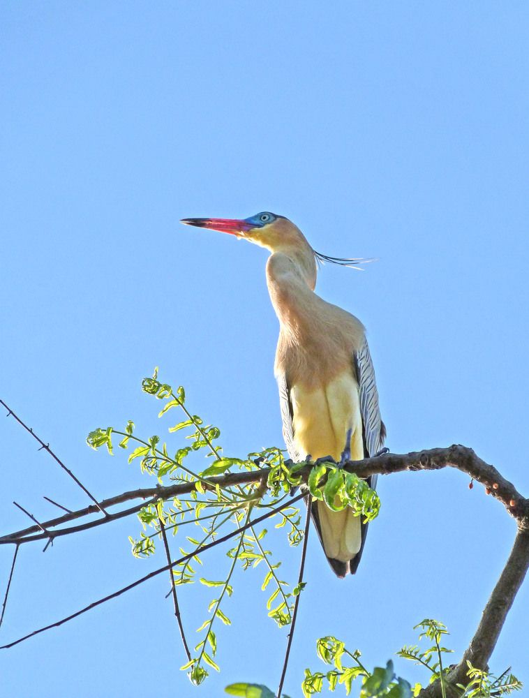 Photograph by GLEYDA GUTIÉREZ