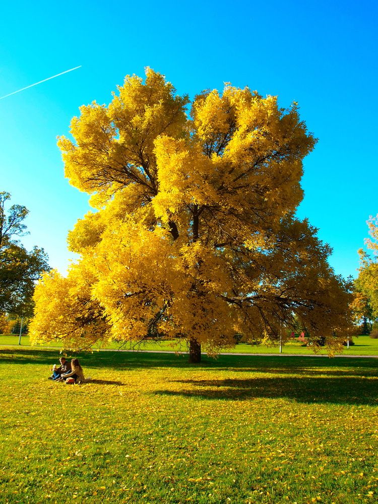 Photograph by Игорь Чеботарёв