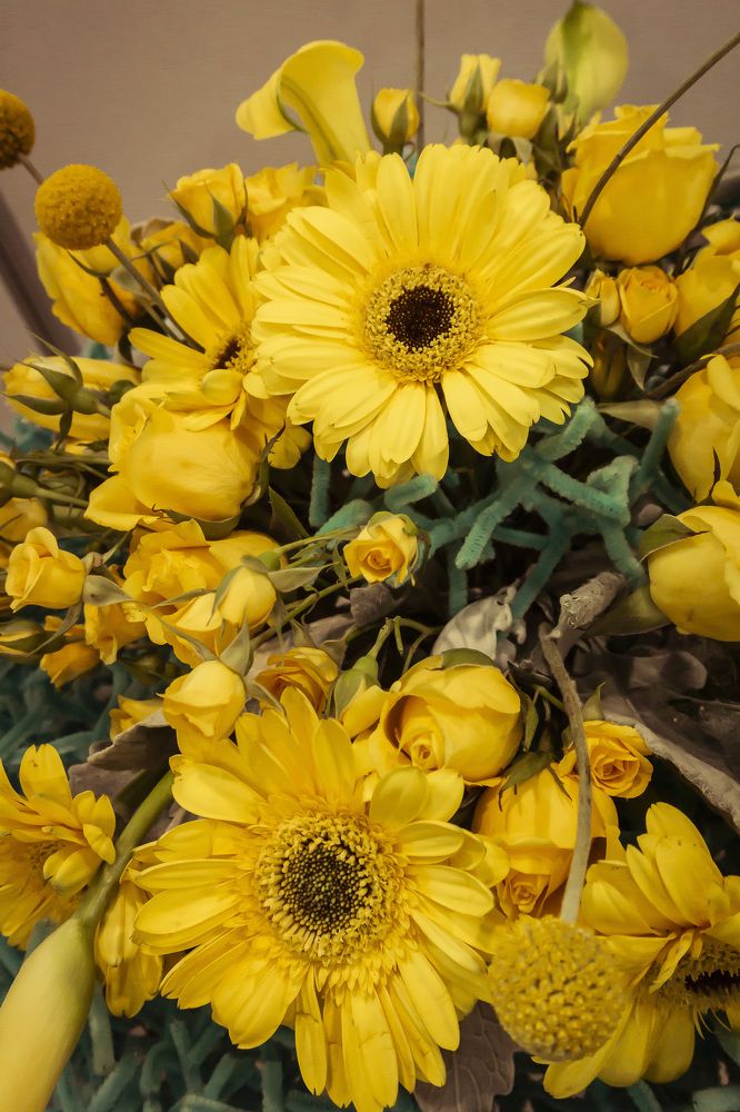 Photograph by Silvia Marcos